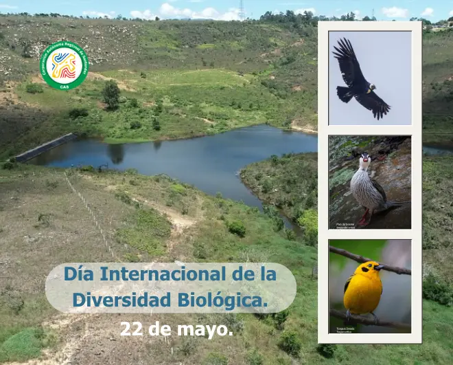 blog Biodiversidad:  El patrimonio que une y da vida a Santander
