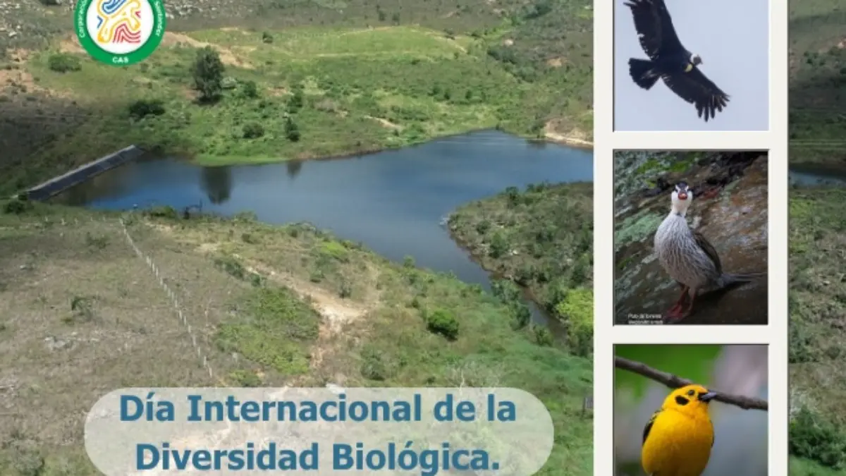blog Biodiversidad:  El patrimonio que une y da vida a Santander