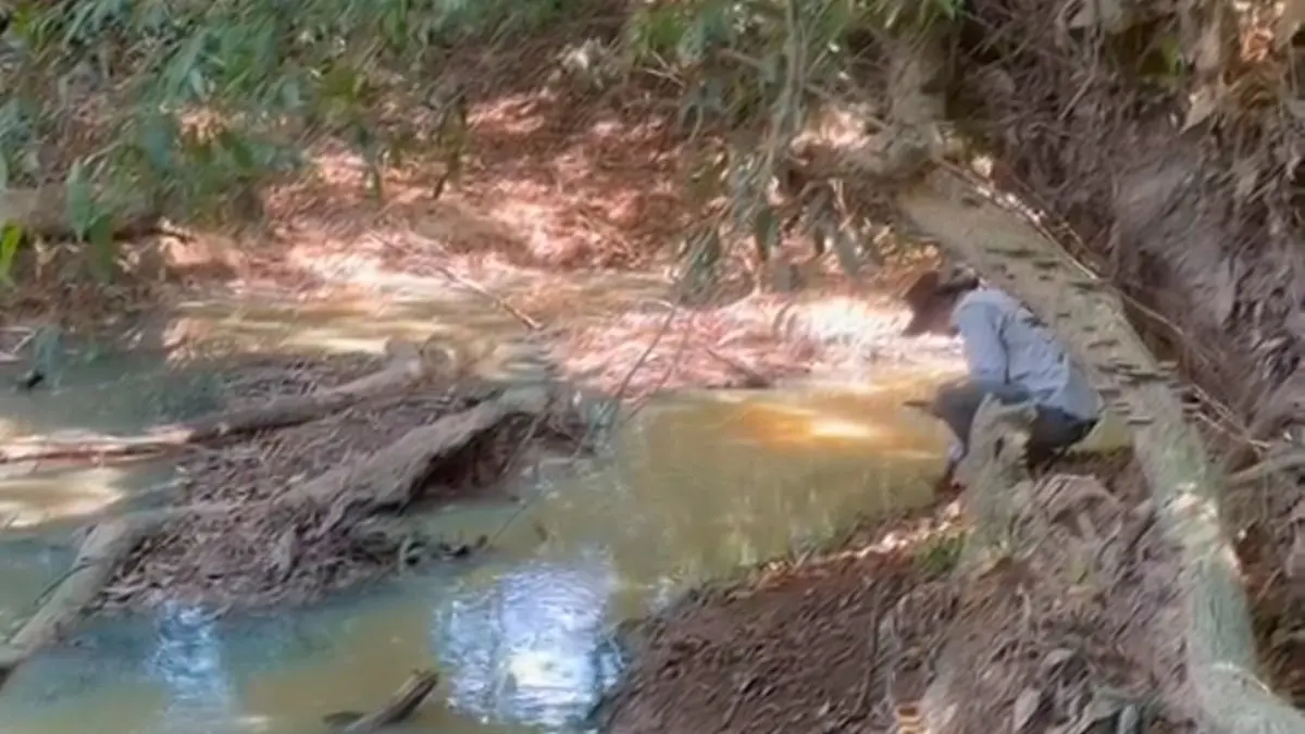 CAS adelanta inspección técnica en la quebrada Las Margaritas tras reporte de posibles afectaciones ambientales