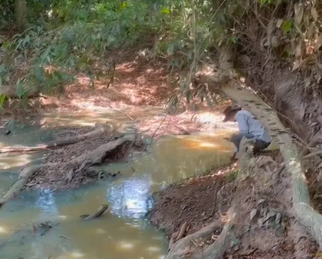 blog CAS adelanta inspección técnica en la quebrada Las Margaritas tras reporte de posibles afectaciones ambientales