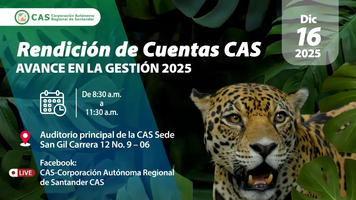 blog Convocatoria a jornada de rendición de cuentas vigencia 2025