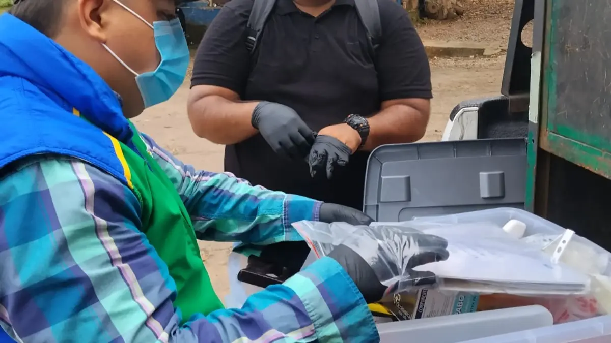 blog Red de Varamientos de manatíes del Magdalena medio investiga muerte de un manatí antillano en ciénaga El Llanito