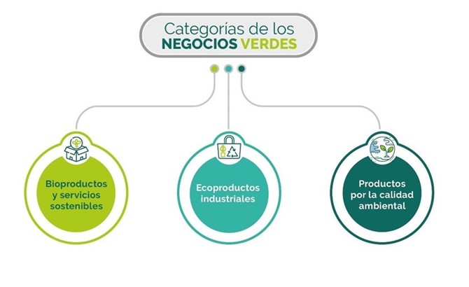 Categoría ejemplo