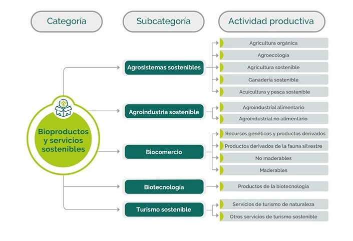Imagen sector 1
